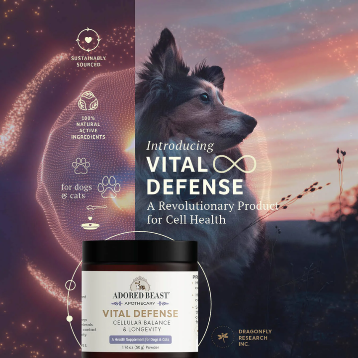 Adored Beast Dog and Cat Supplements - Vital Defense | Cellular Support