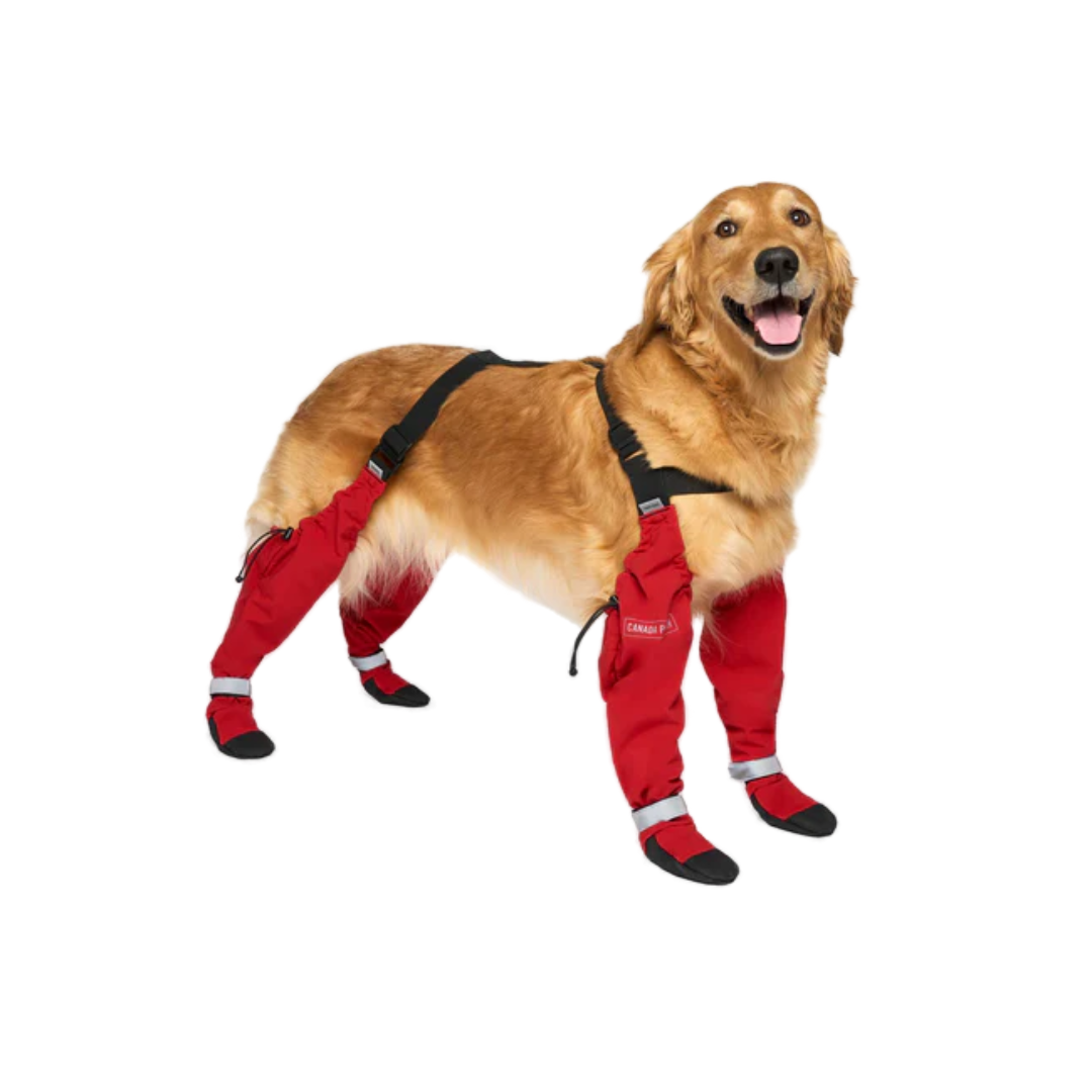 Canada Pooch Dog Accessories Suspender Boots - Main Image