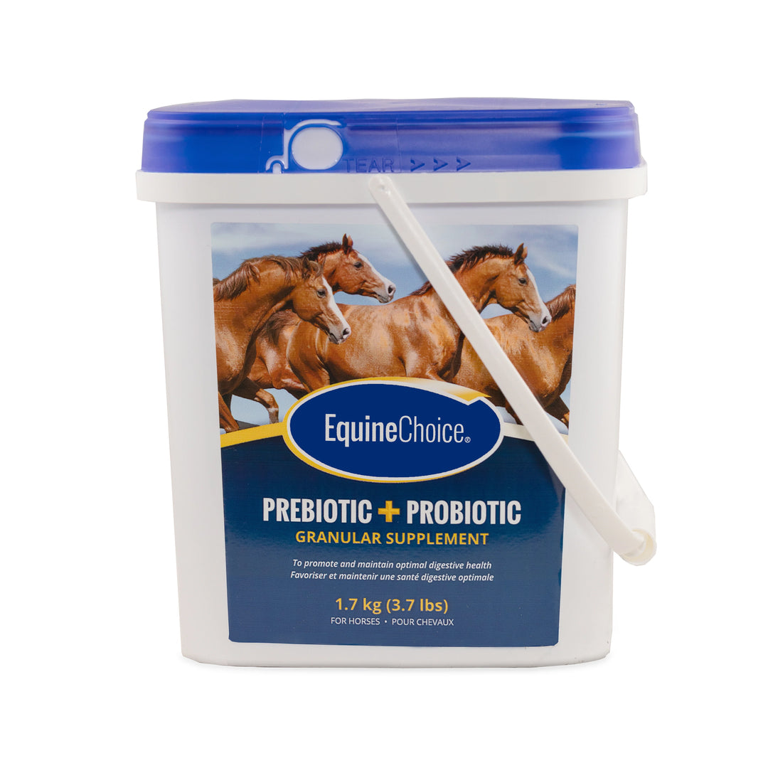 Equine Supplements - Equine Choice Prebiotic + Prebiotic Granular Supplement