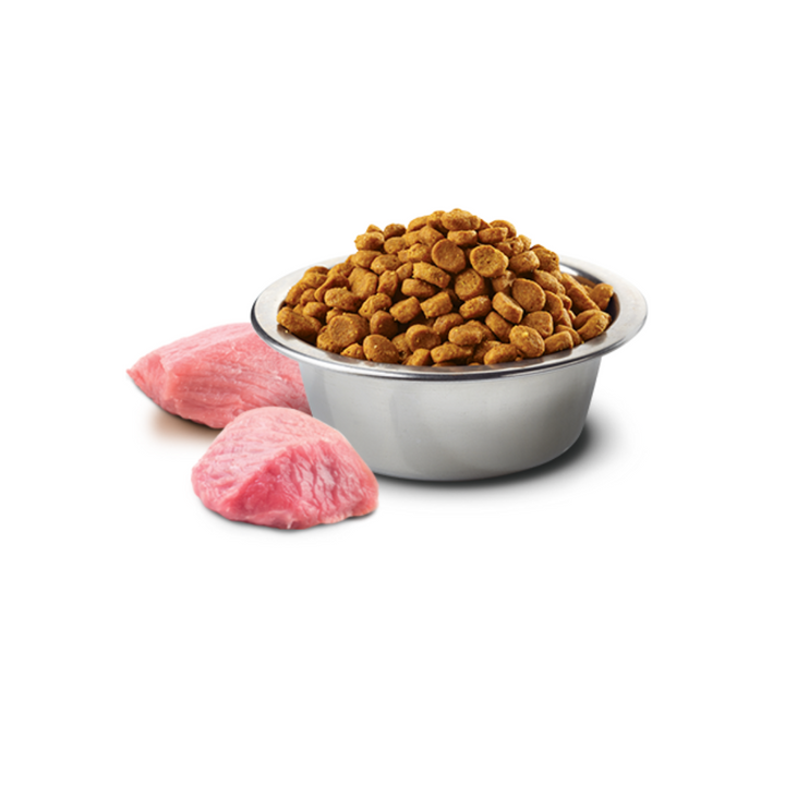 Farmina N&D Dry Dog Food - Lamb & Blueberry with Pumpkin Adult Medium & Maxi