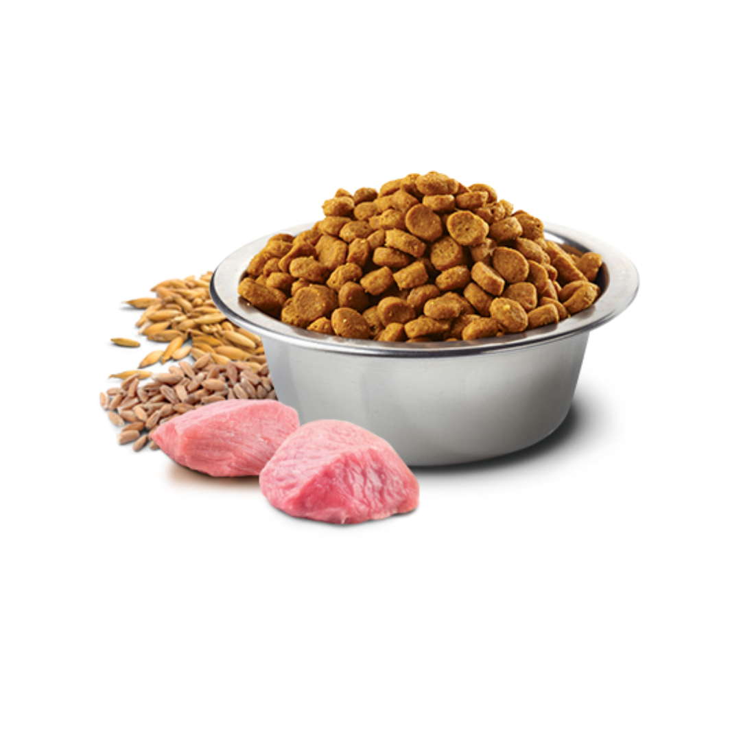 Farmina N&D Dry Dog Food - Tropical Selection Pork, Spelt, Oats & Tropical Fruits Adult Mini