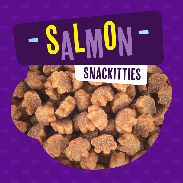 Fromm Cat Treats - PurrSnackitty Salmon Flavor Snackitties