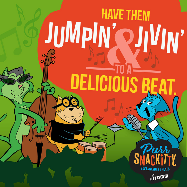 Fromm Cat Treats - PurrSnackitty Salmon Flavor Snackitties