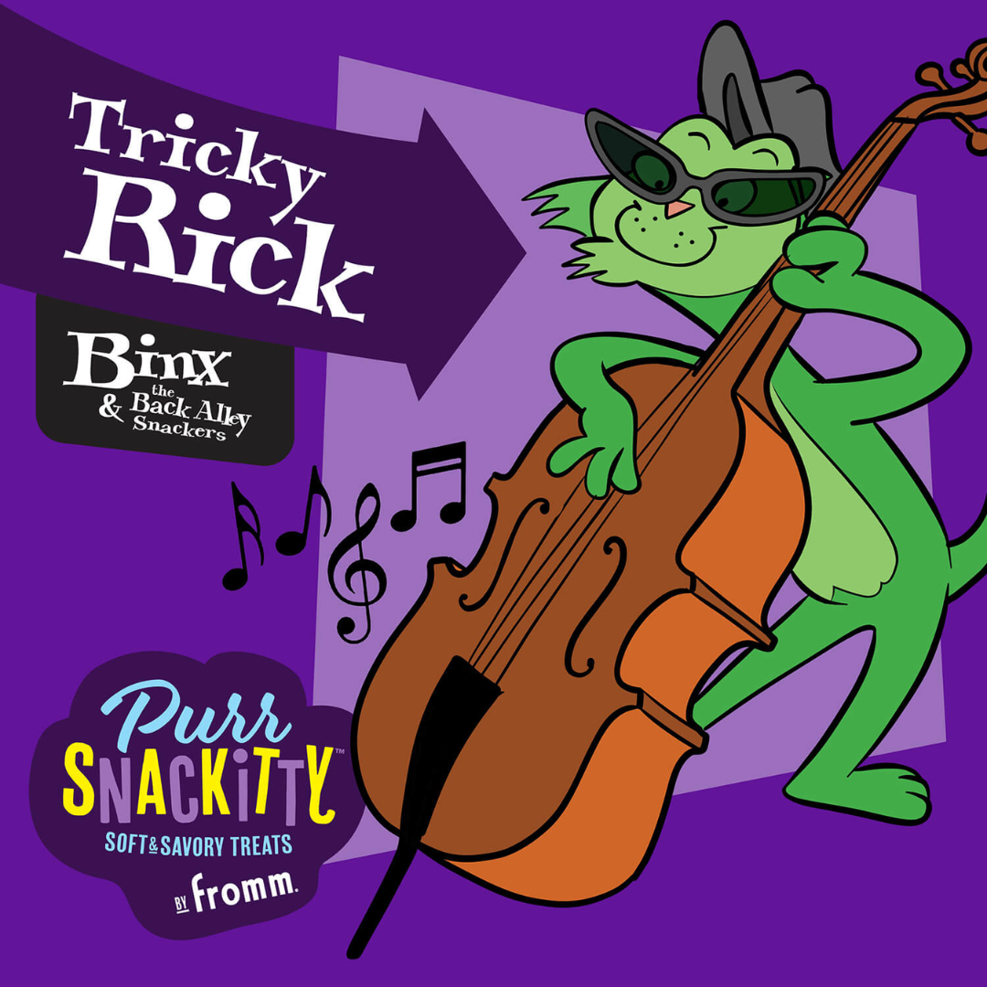 Fromm Cat Treats - PurrSnackitty Salmon Flavor Snackitties