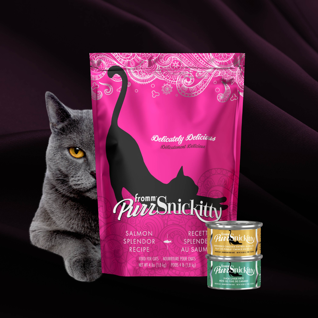 Fromm Dry Cat Food - PurrSnickitty Salmon Splendor