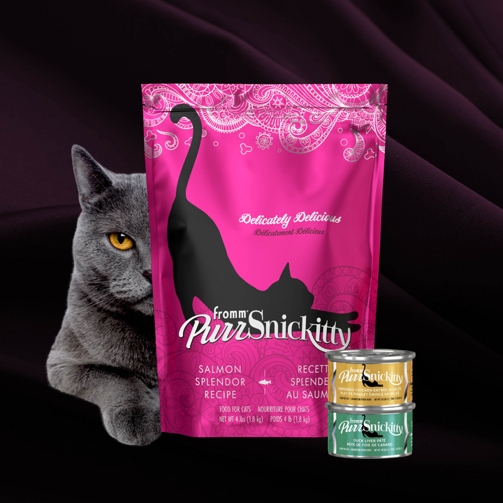 Fromm Dry Cat Food - PurrSnickitty Salmon Splendor