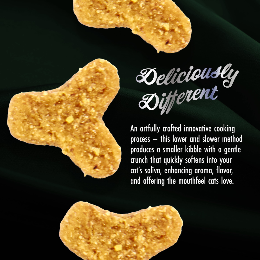 Fromm Dry Cat Food - PurrSnickitty Salmon Splendor