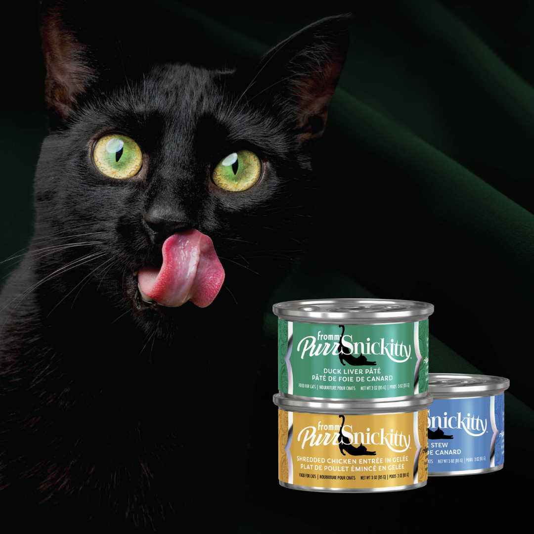 Fromm Wet Cat Food - PurrSnickitty Shredded Duck Stew Canned