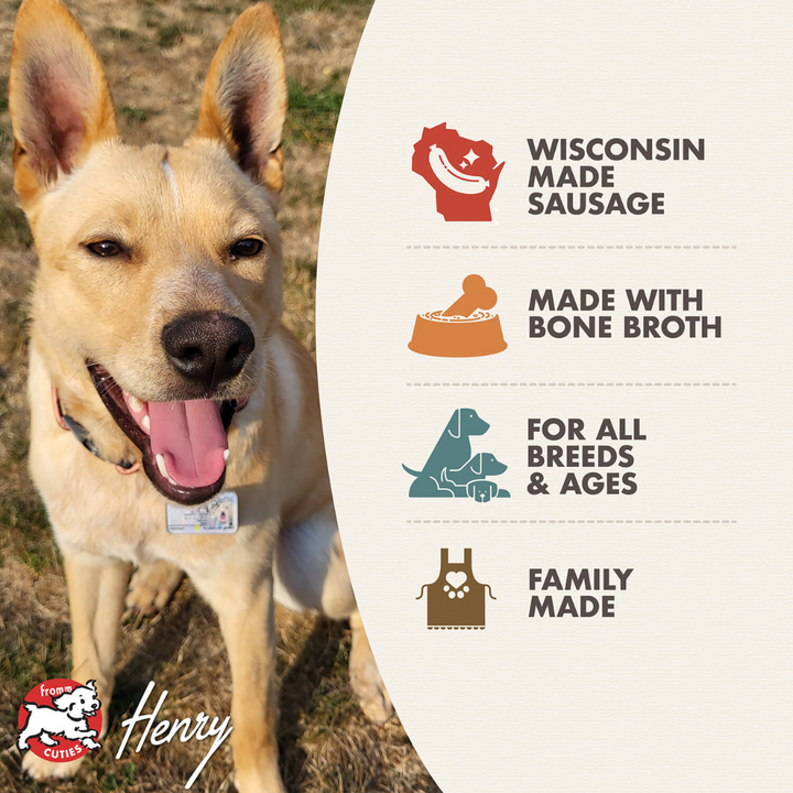 Fromm Wet Dog Food - Frommbo Gumbo Hearty Stew with Chicken Sausage Canned