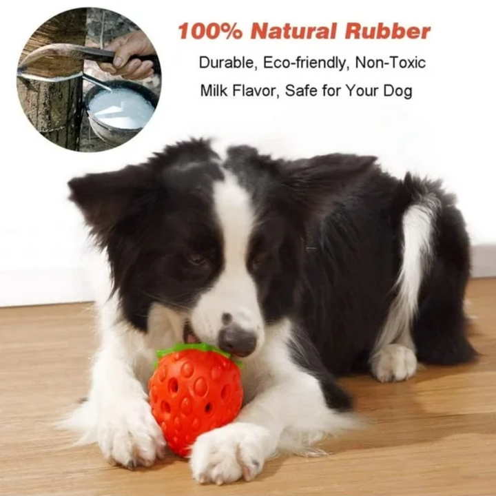 Good Fun Dog Toys - Strawberry Chew Toy