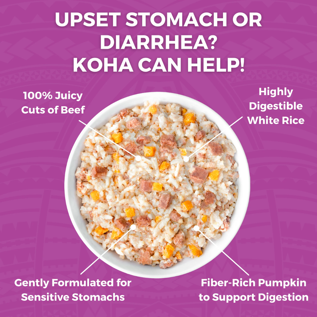 KOHA Wet Dog Food - Limited Ingredient Wet Bland Diet Beef & White Rice Recipe
