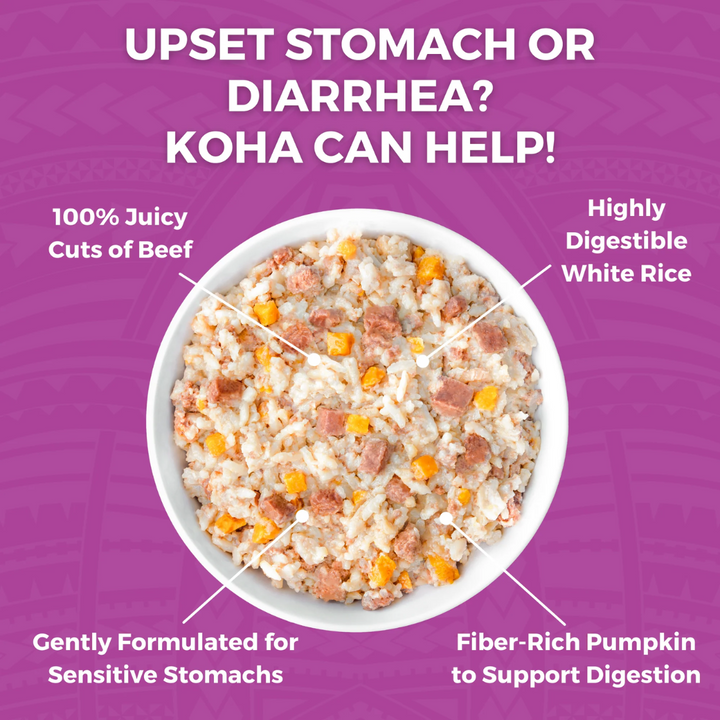 KOHA Wet Dog Food - Limited Ingredient Wet Bland Diet Beef & White Rice Recipe
