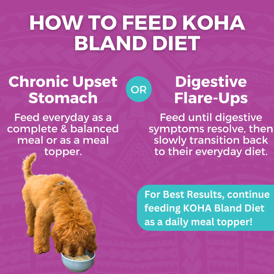 KOHA Wet Dog Food - Limited Ingredient Wet Bland Diet Beef & White Rice Recipe
