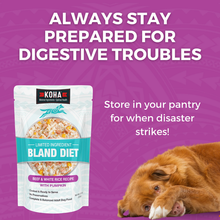 KOHA Wet Dog Food - Limited Ingredient Wet Bland Diet Beef & White Rice Recipe