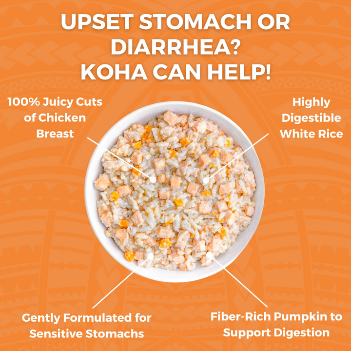 KOHA Wet Dog Food - Limited Ingredient Wet Bland Diet Chicken & White Rice Recipe