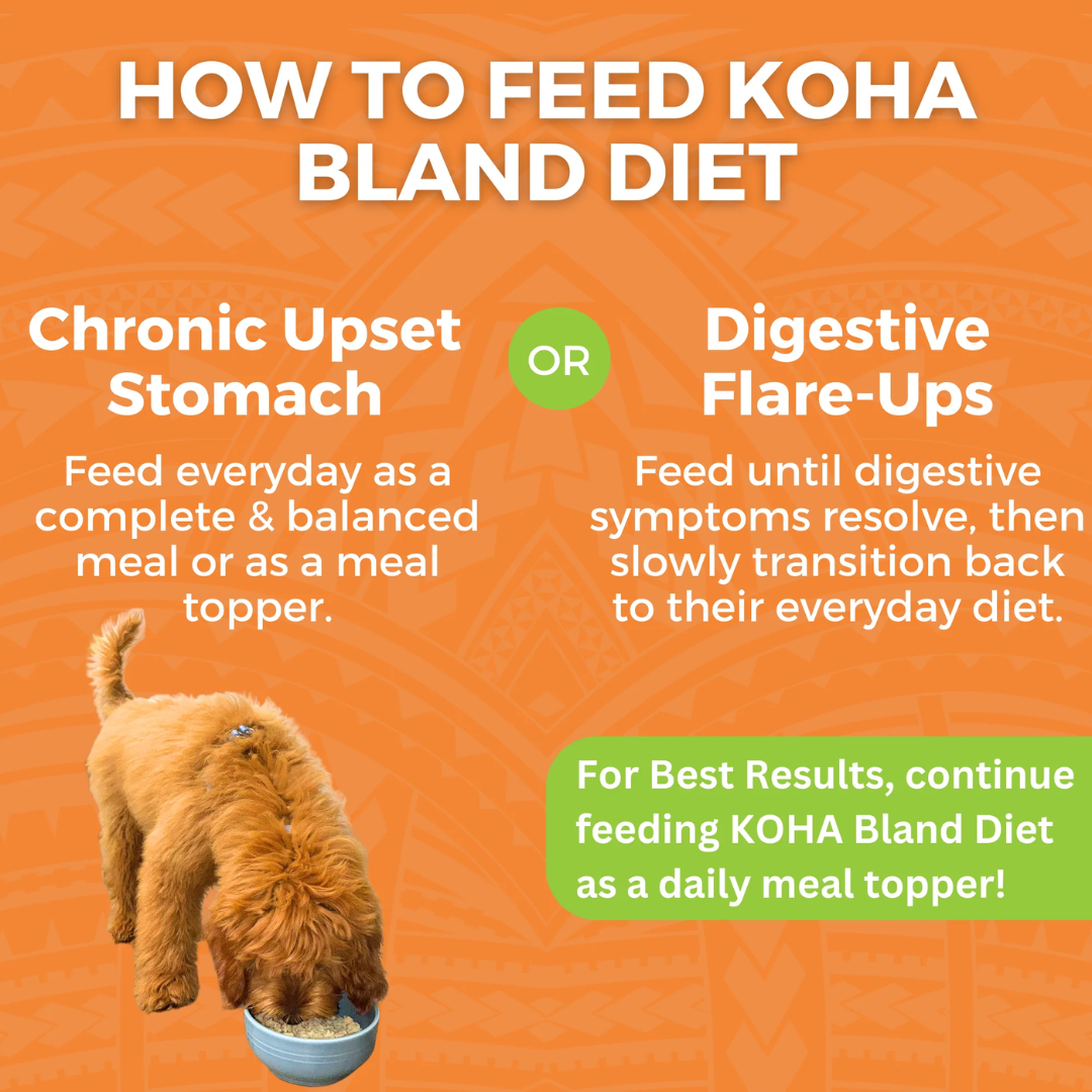 KOHA Wet Dog Food - Limited Ingredient Wet Bland Diet Chicken & White Rice Recipe