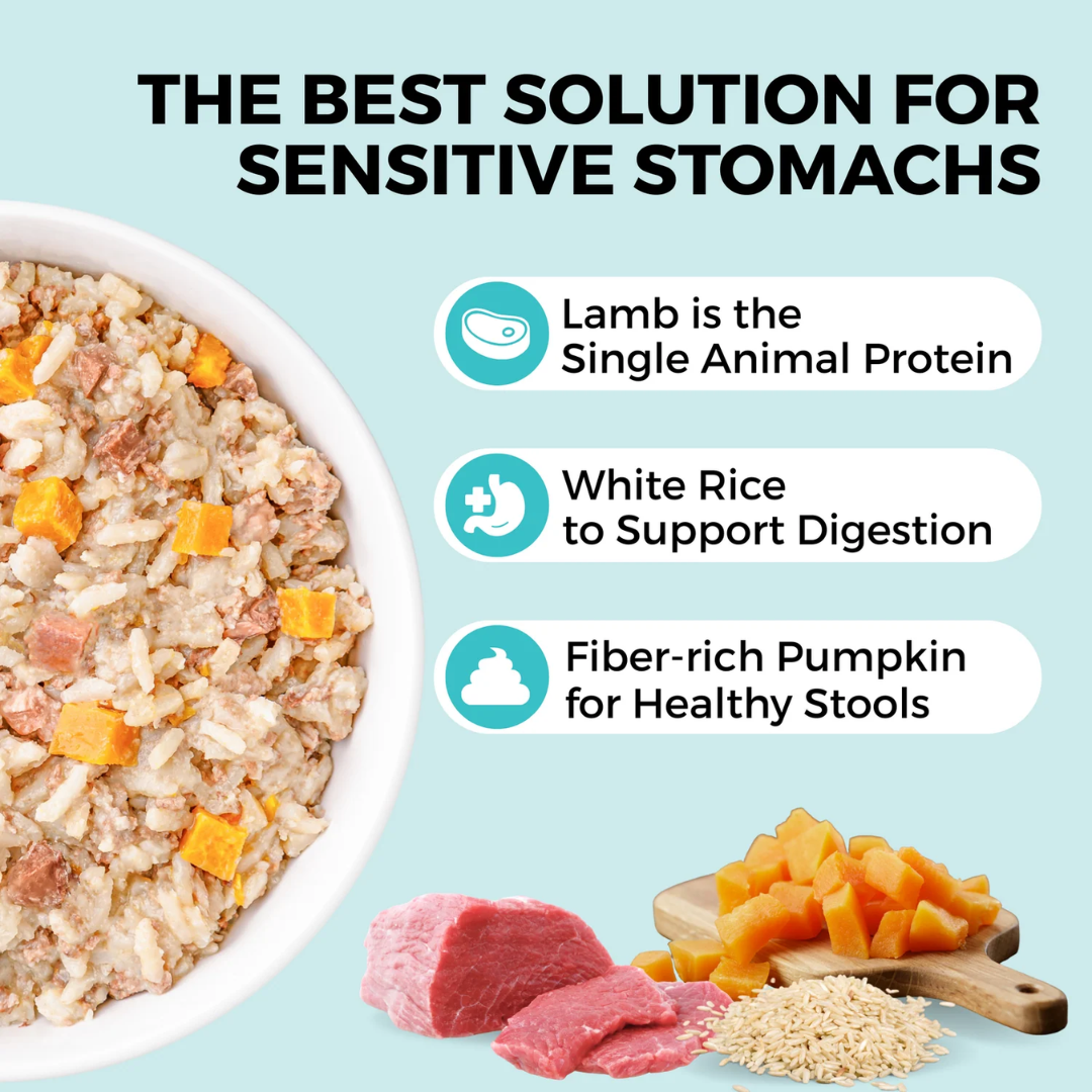 KOHA Wet Dog Food - Limited Ingredient Wet Bland Diet Lamb & White Rice Recipe