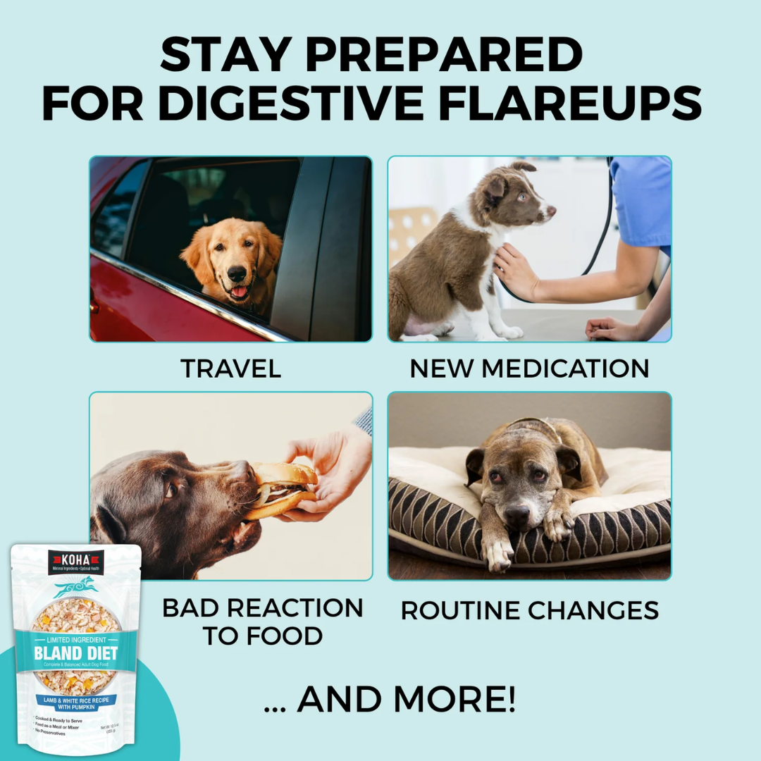 KOHA Wet Dog Food - Limited Ingredient Wet Bland Diet Lamb & White Rice Recipe