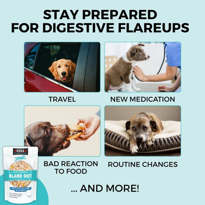 KOHA Wet Dog Food - Limited Ingredient Wet Bland Diet Lamb & White Rice Recipe