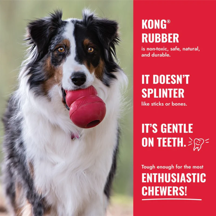 Kong Dog Toy - Donut