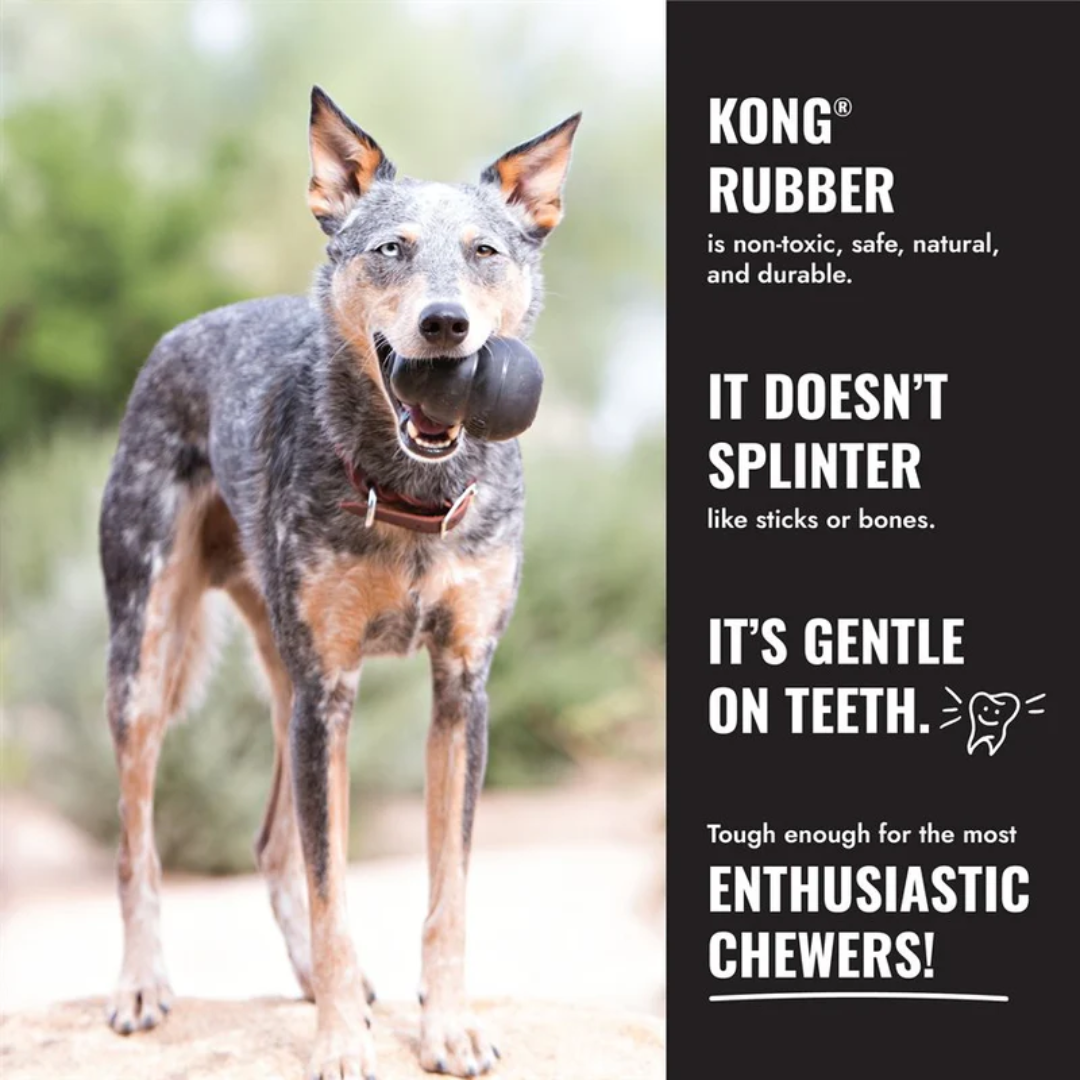 Kong Dog Toy - Extreme Donut