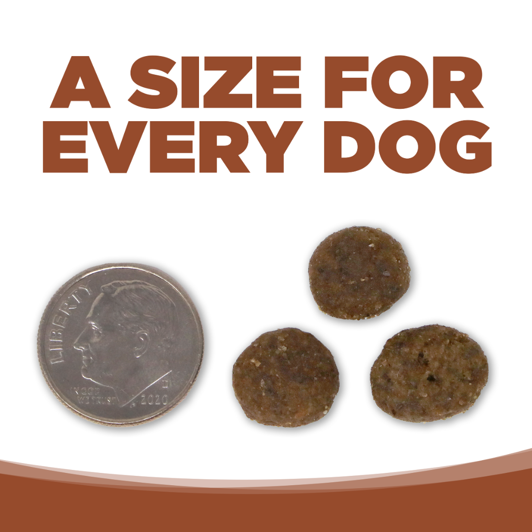 NutriSource Dog Dry Food - Pure Vita Kangaroo & Green Lentils Grain-Free Entree