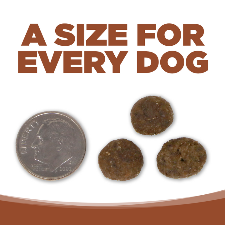 NutriSource Dog Dry Food - Pure Vita Kangaroo & Green Lentils Grain-Free Entree