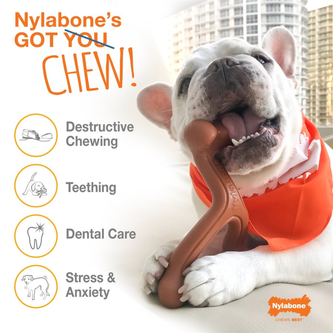 Nylabone Dog Toys - Flavor Frenzy Texture Bone Philly Cheesesteak