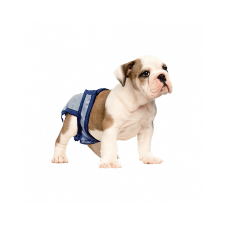 Pooch Pad Dog Supplies - PoochPants Reusable Diapers