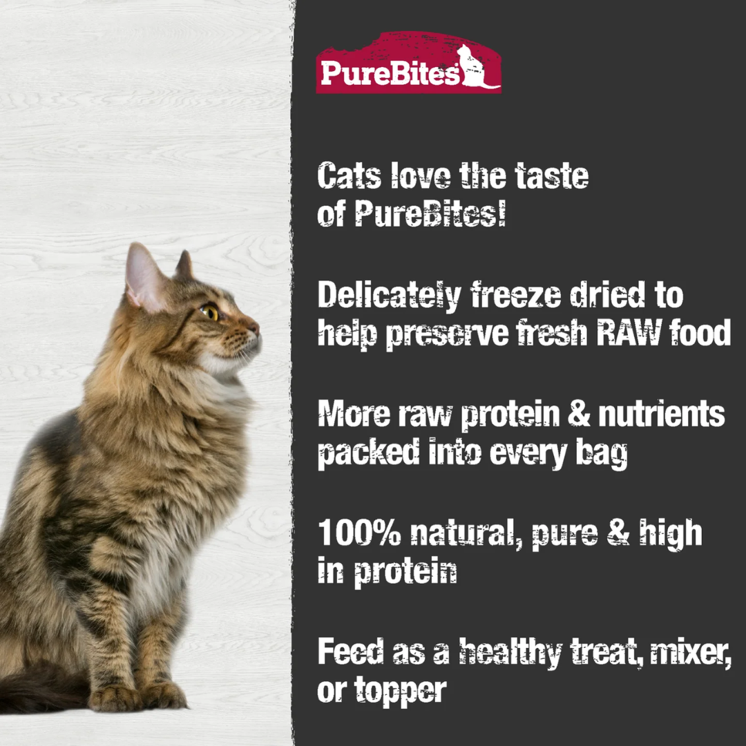 PureBites Freeze-Dried Cat Treats - Chicken Heart