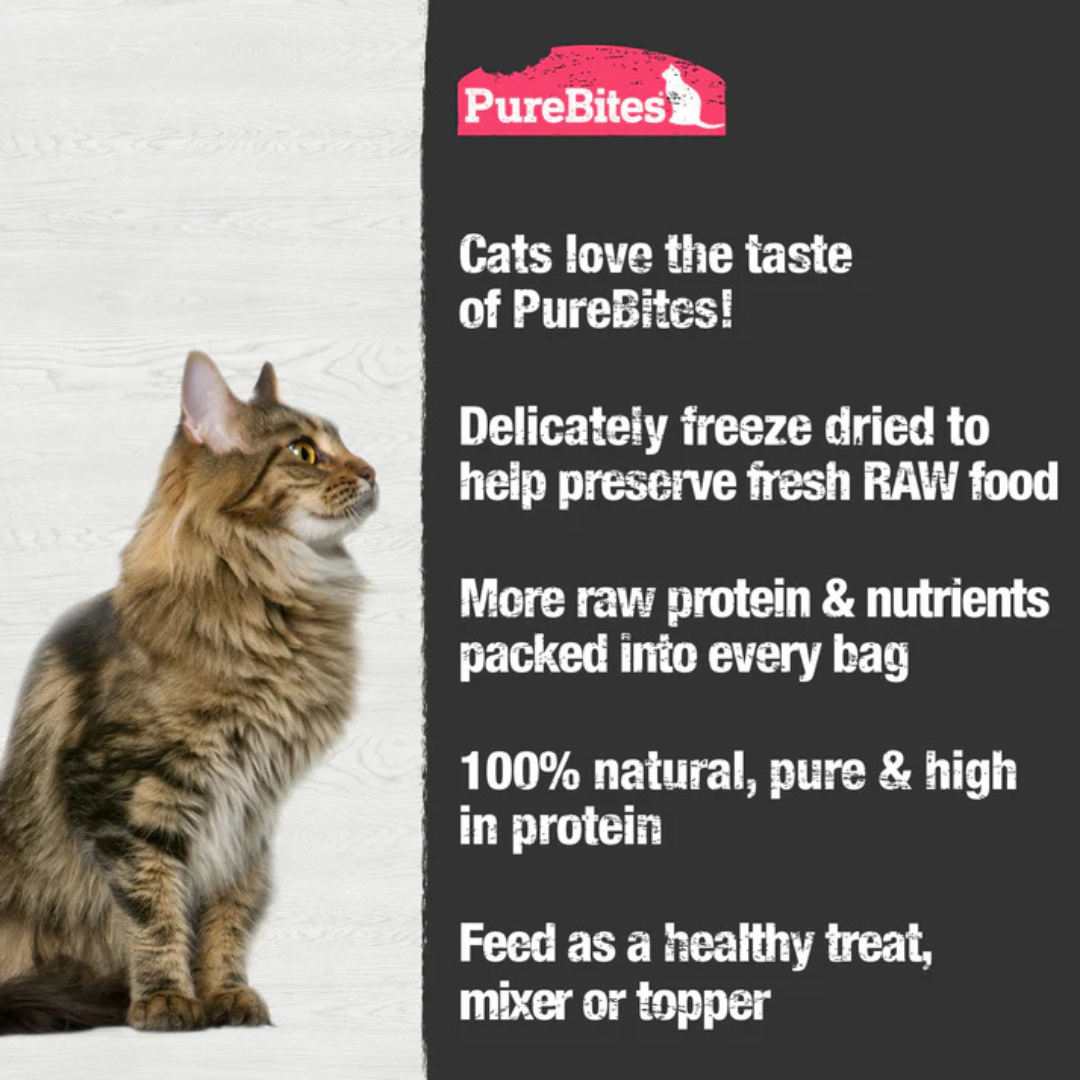 PureBites Freeze-Dried Cat Treats - Shrimp