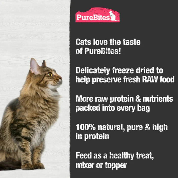 PureBites Freeze-Dried Cat Treats - Shrimp