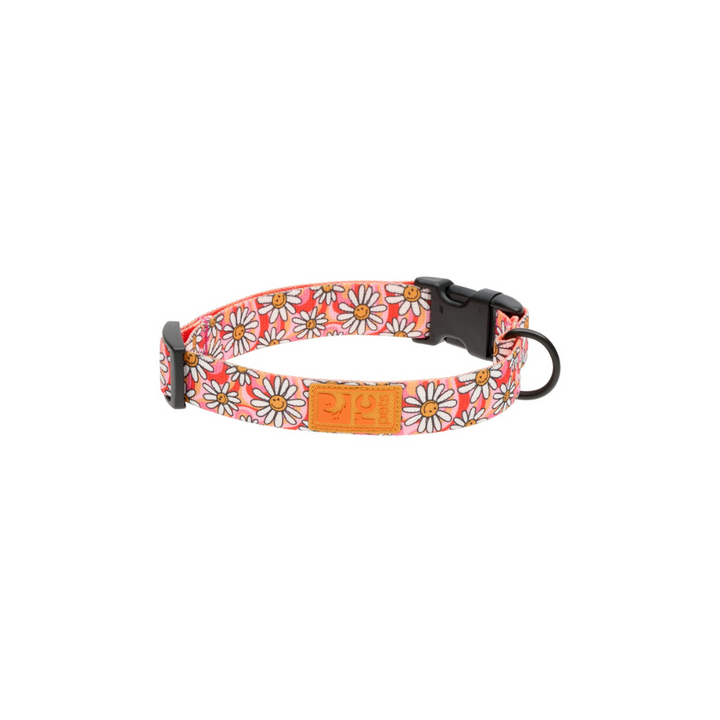 RC Pets Dog Collars - Eco Clip Collar