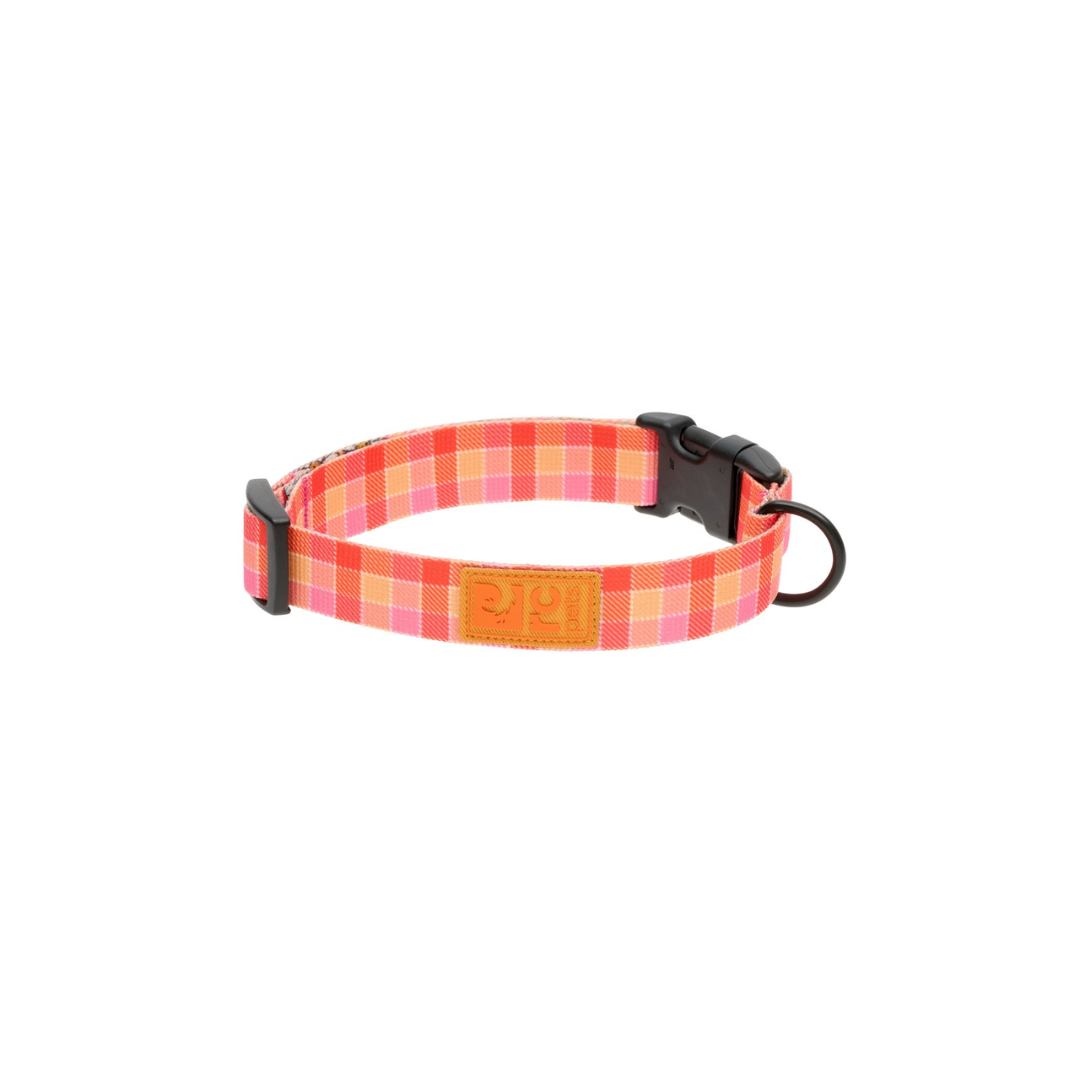 RC Pets Dog Collars - Eco Clip Collar