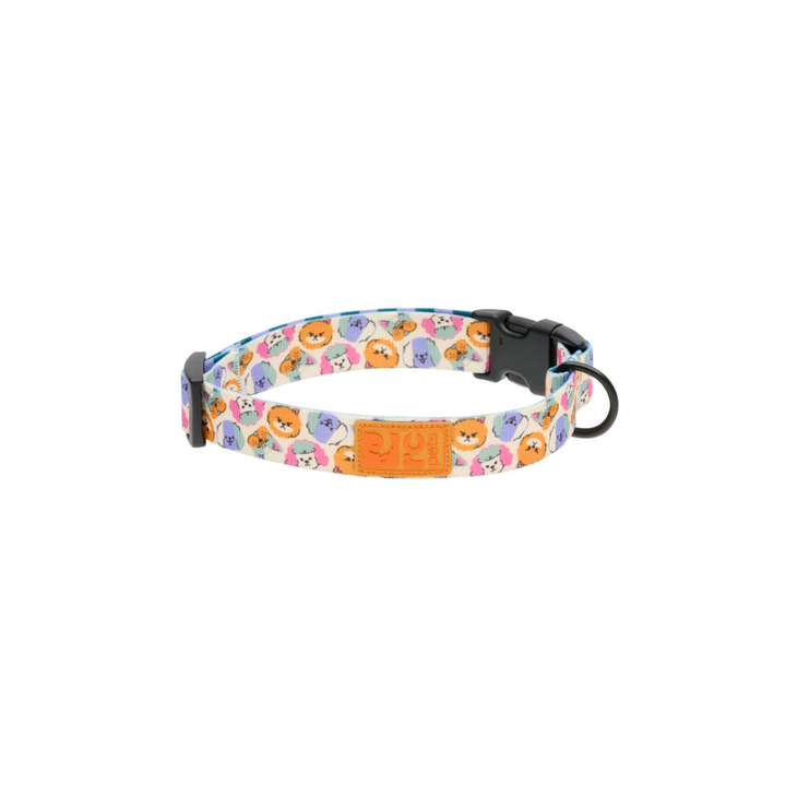 RC Pets Dog Collars - Eco Clip Collar