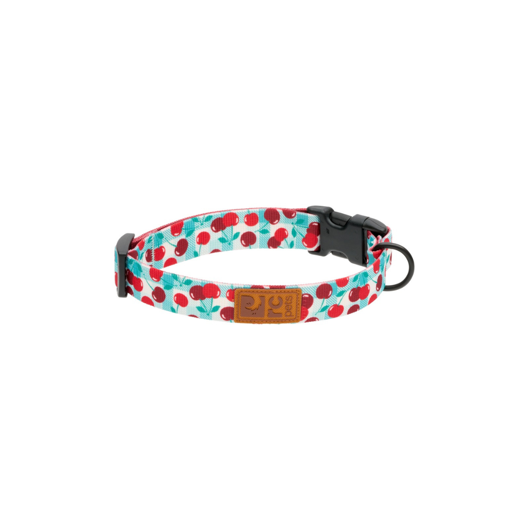 RC Pets Dog Collars - Eco Clip Collar