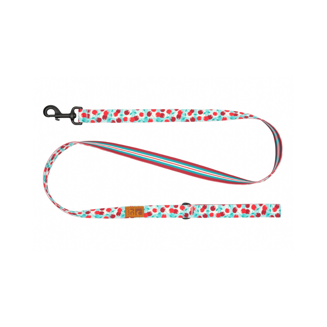 RC Pets Dog Leashes - Eco Leash