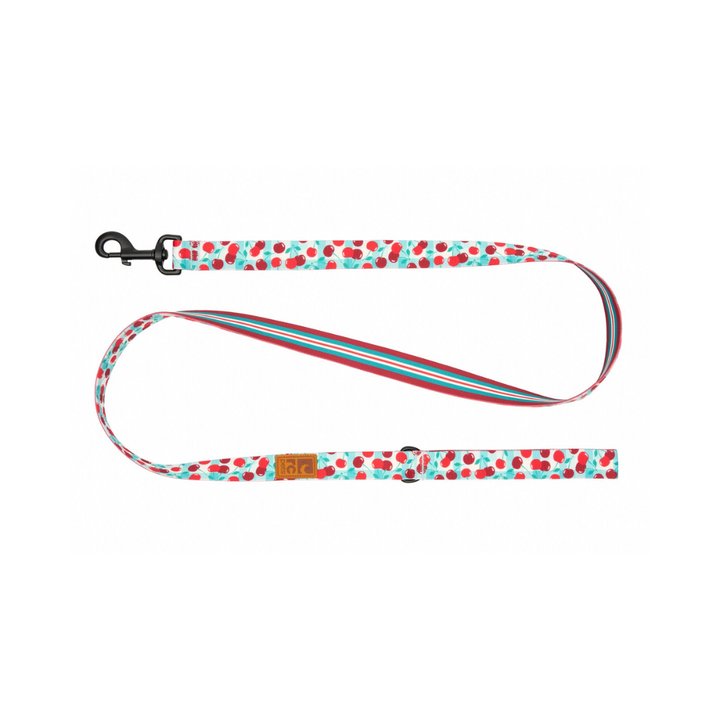 RC Pets Dog Leashes - Eco Leash