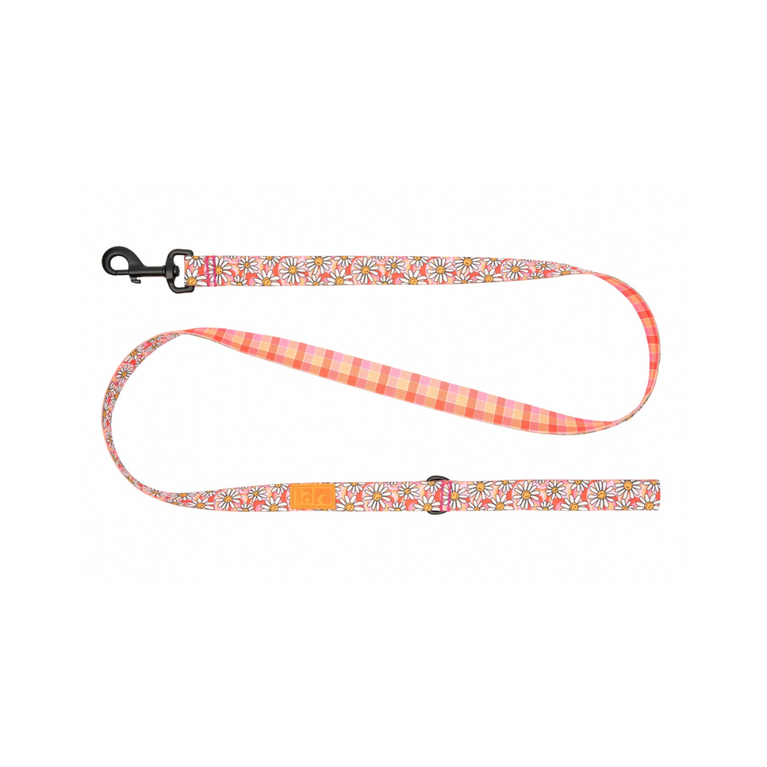 RC Pets Dog Leashes - Eco Leash