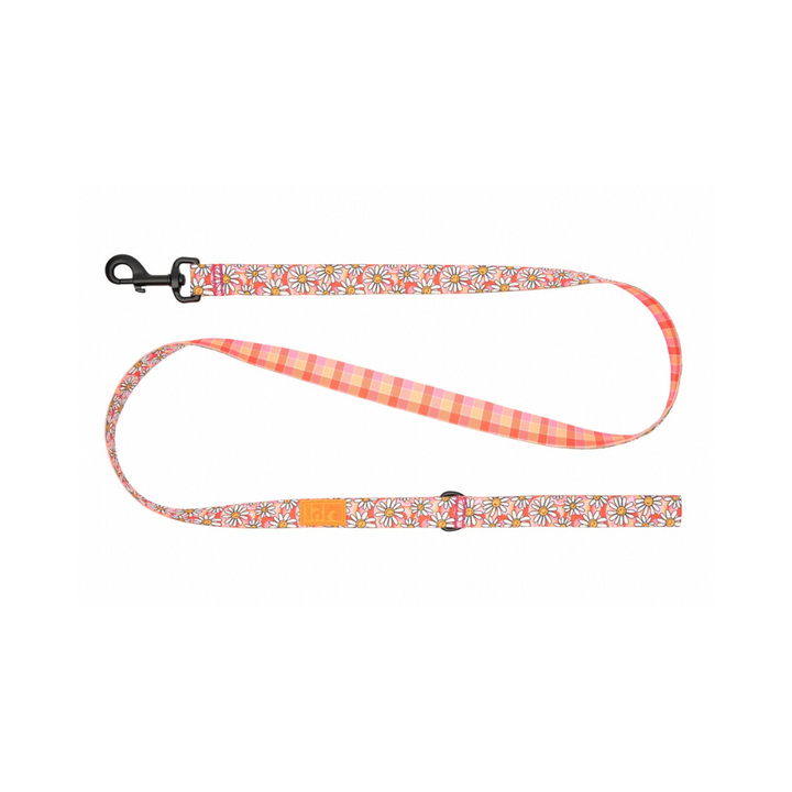 RC Pets Dog Leashes - Eco Leash