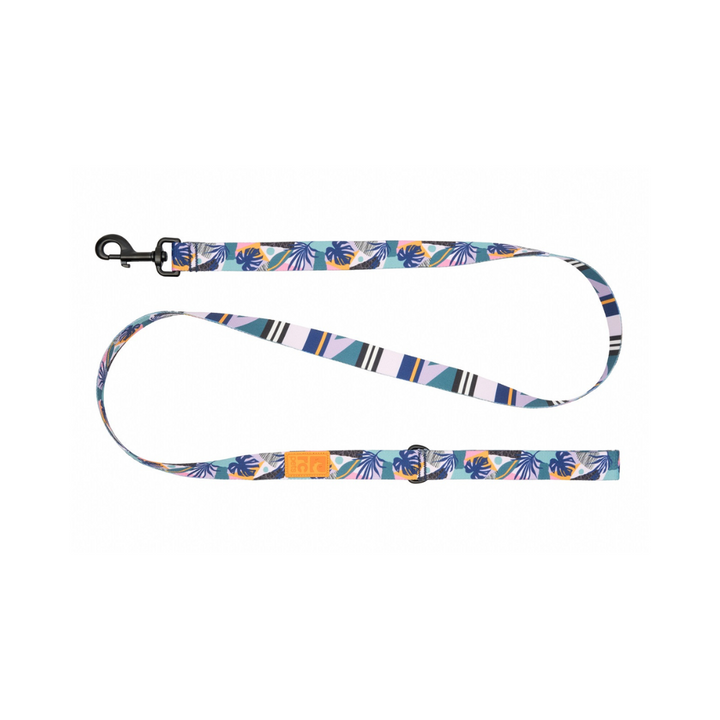 RC Pets Dog Leashes - Eco Leash