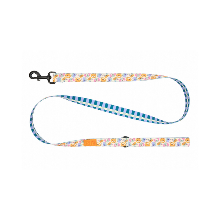 RC Pets Dog Leashes - Eco Leash