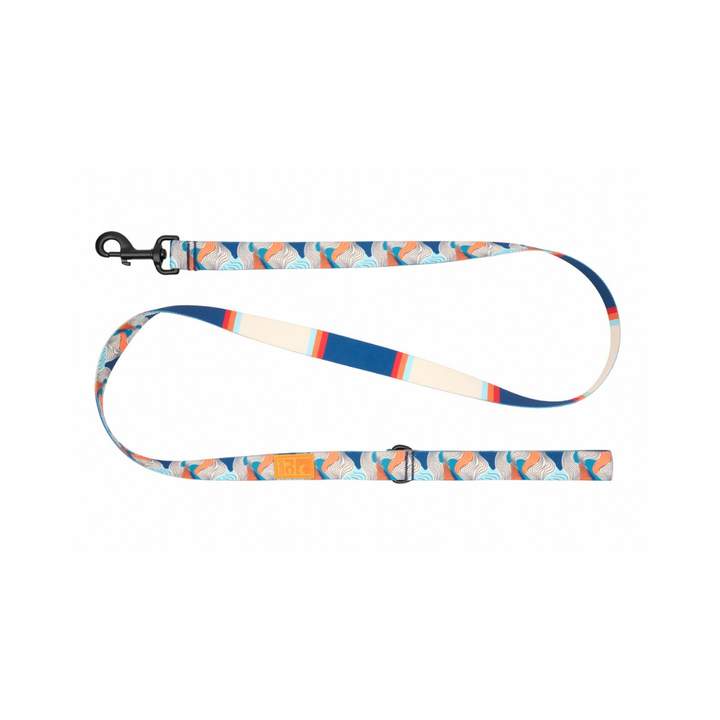 RC Pets Dog Leashes - Eco Leash