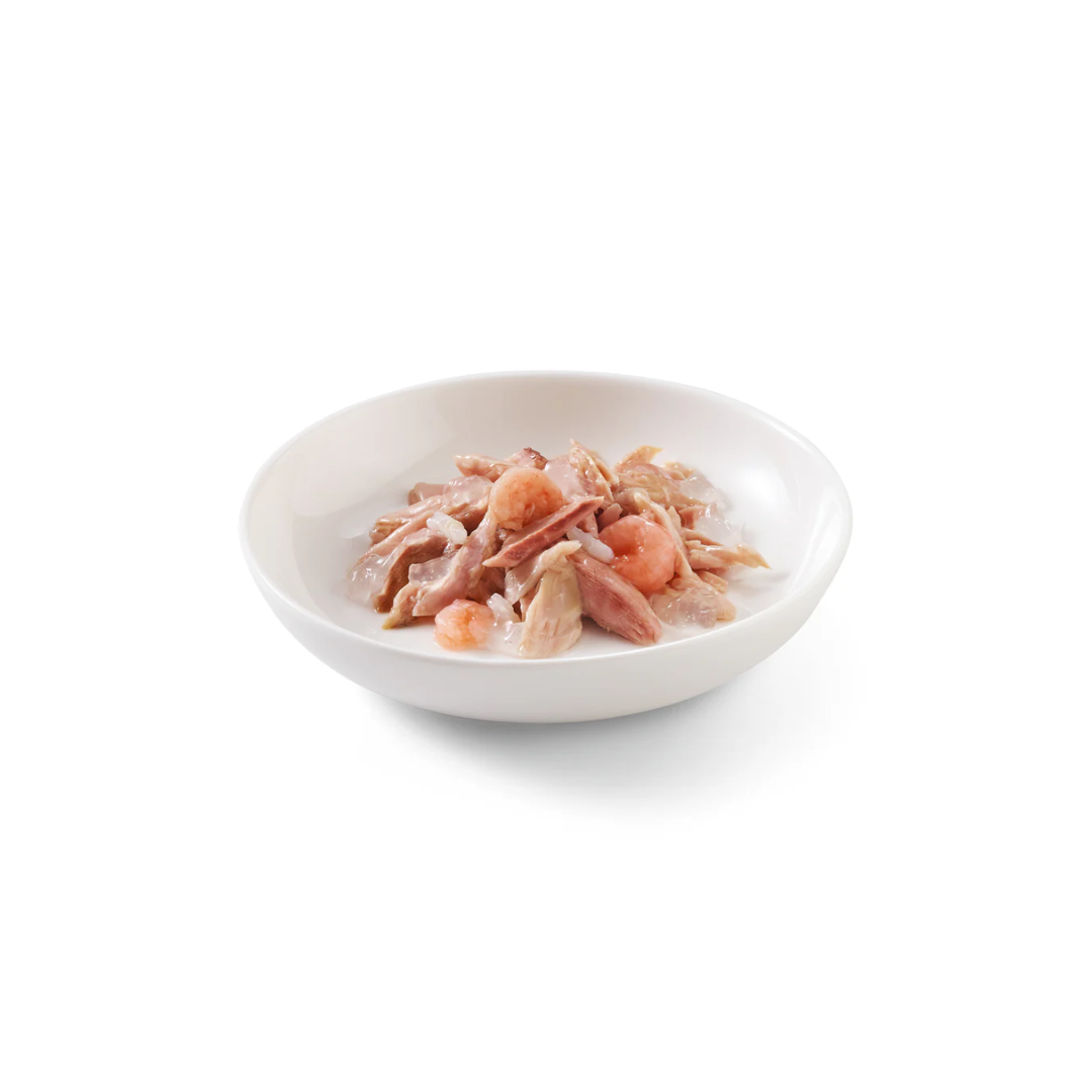 Schesir Wet Cat Food - Tuna with Shrimps in Jelly Canned