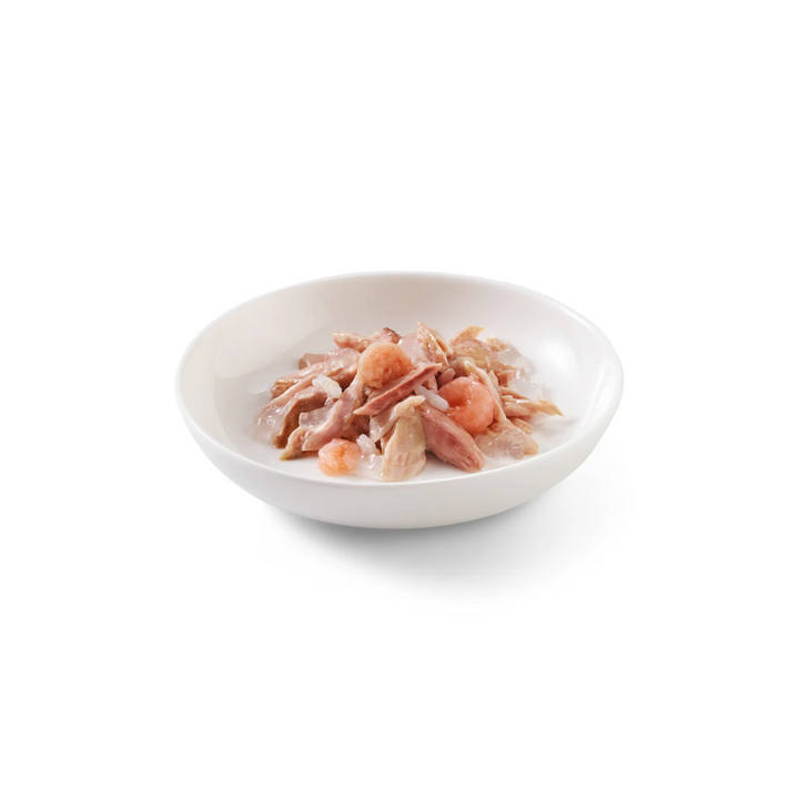 Schesir Wet Cat Food - Tuna with Shrimps in Jelly Canned