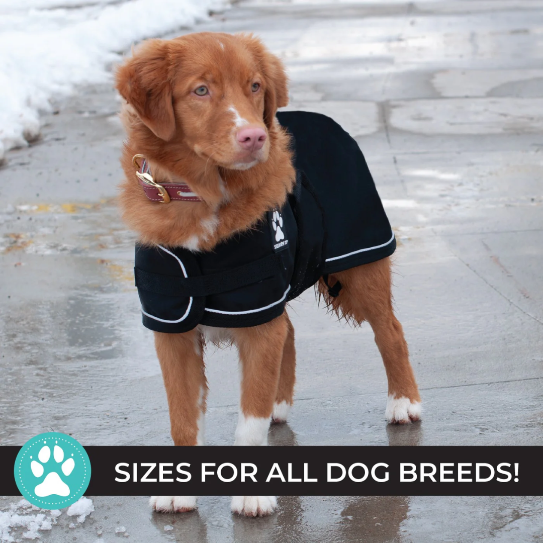 Shedrow K9 Dog Apparel - Harbour Rain Coat