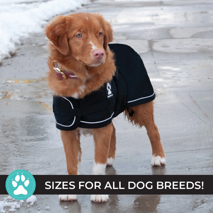 Shedrow K9 Dog Apparel - Harbour Rain Coat