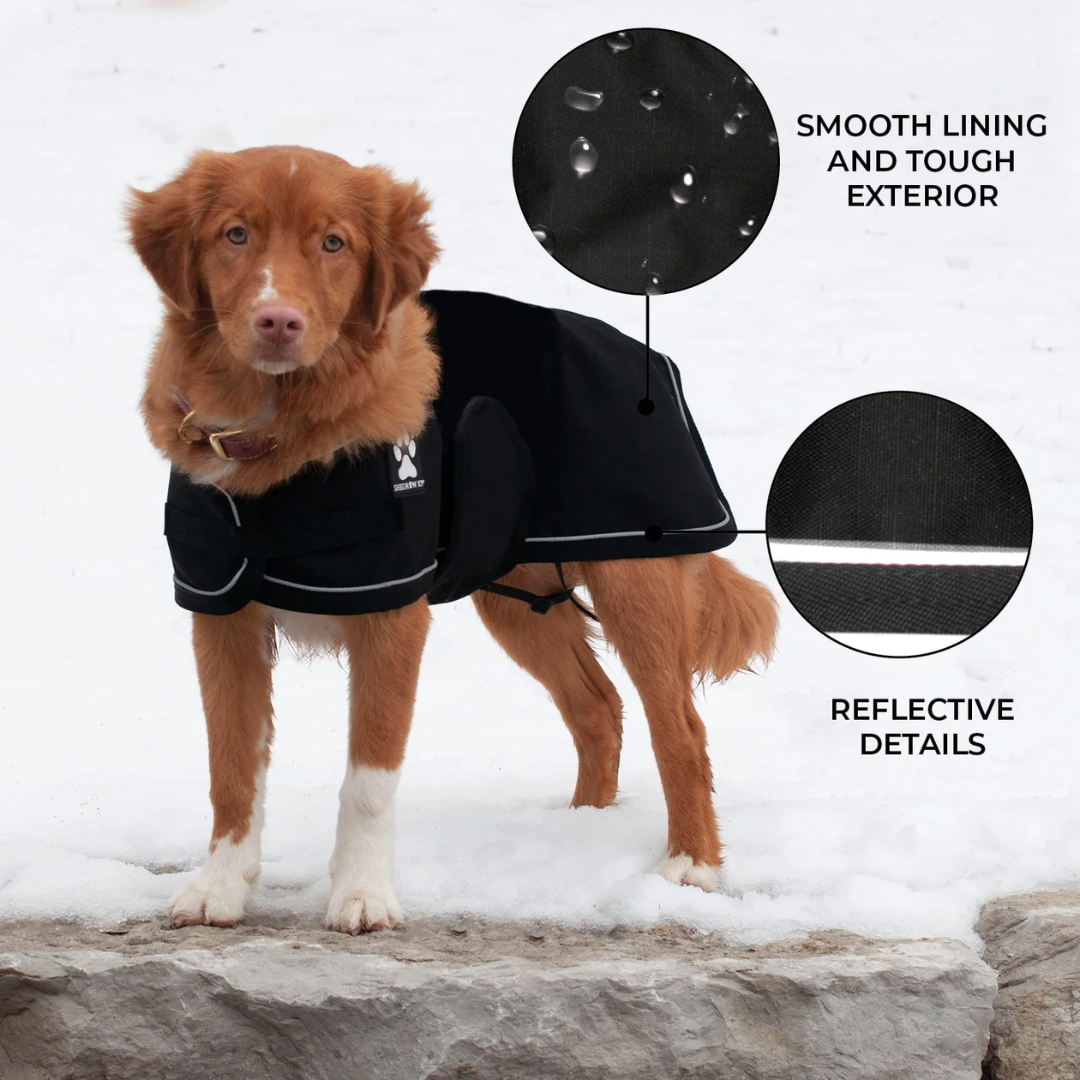Shedrow K9 Dog Apparel - Harbour Rain Coat