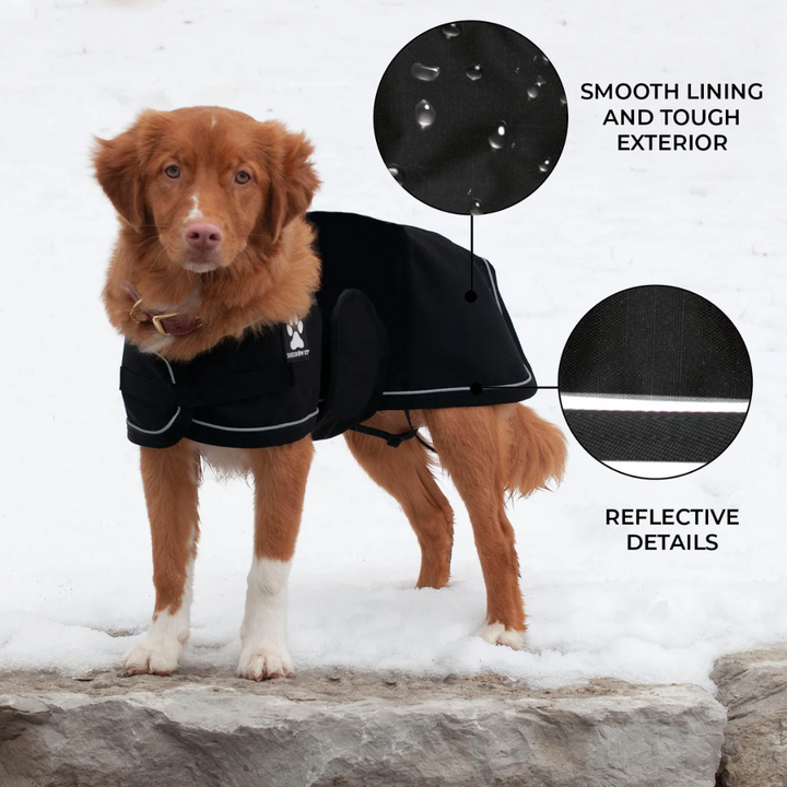 Shedrow K9 Dog Apparel - Harbour Rain Coat