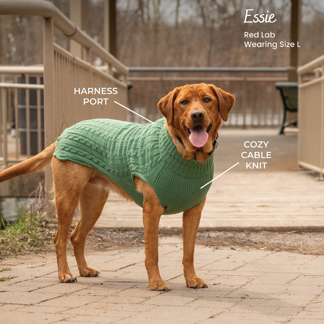 Shedrow K9 Dog Apparel - Brentwood Cable Knit Dog Sweater Plus